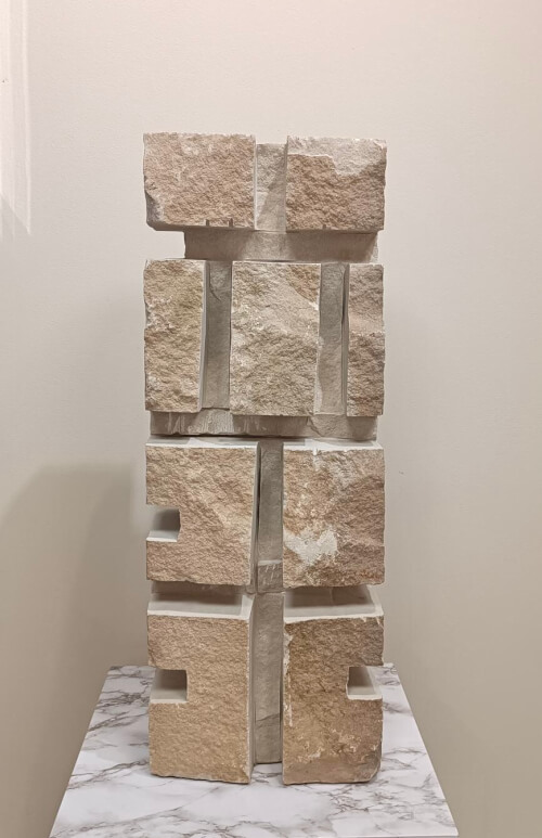 Ariel Elizondo Lizarraga 53