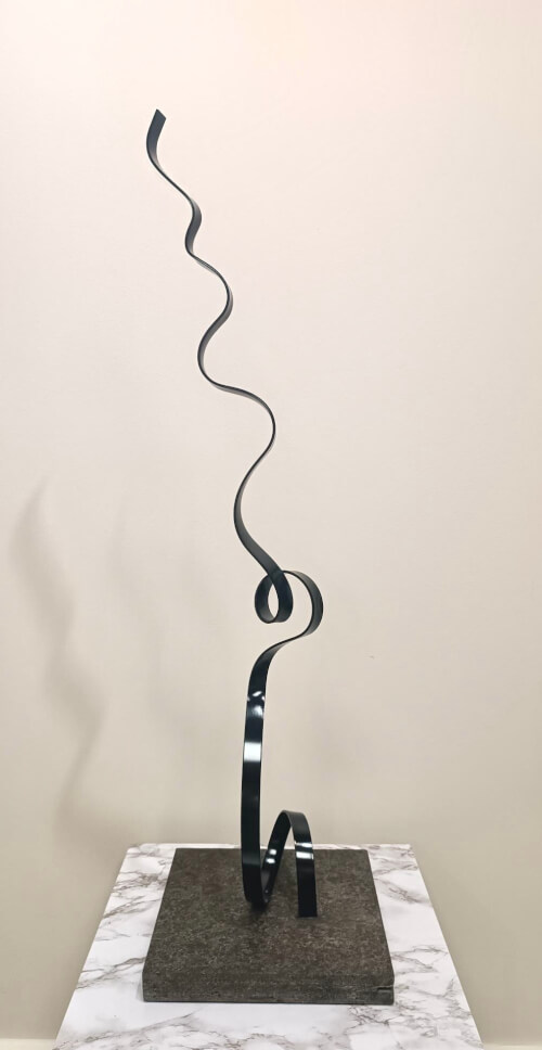 Ariel Elizondo Lizarraga 43