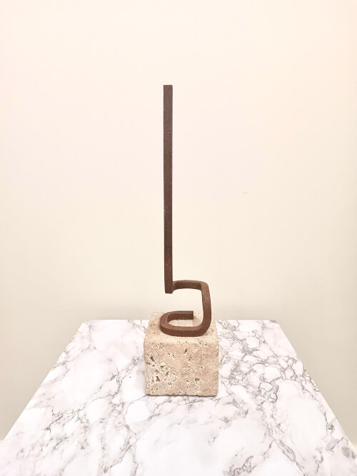 Ariel Elizondo Lizarraga 47