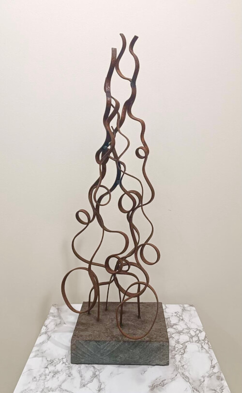 Ariel Elizondo Lizarraga 45