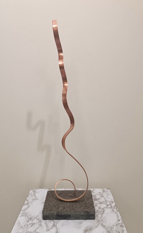 Ariel Elizondo Lizarraga 46