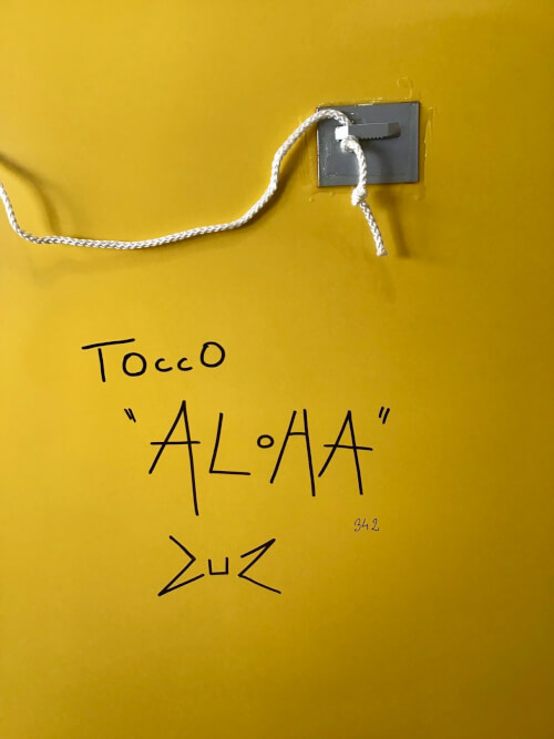 Aloha 10