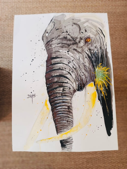 Elefante 2