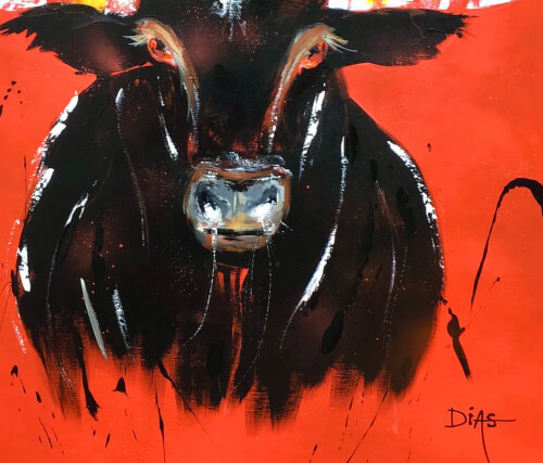 Toro Rojo 5